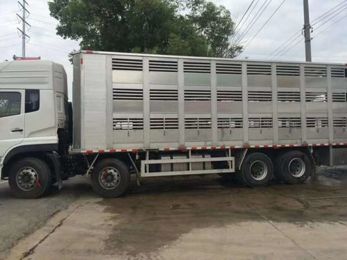 遼陽畜禽運輸車廠家——專業畜禽運輸車制造商